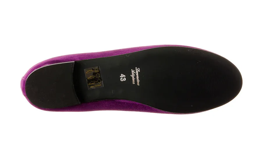 Am Luna Purple