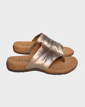 Taos Gift 2